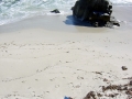 The Beach at Lovers Point
