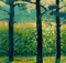 Summer Corn