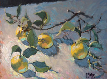 20"x16" Oil on Canvas