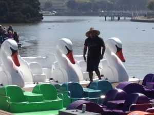 Photo of Juan and the White Swans